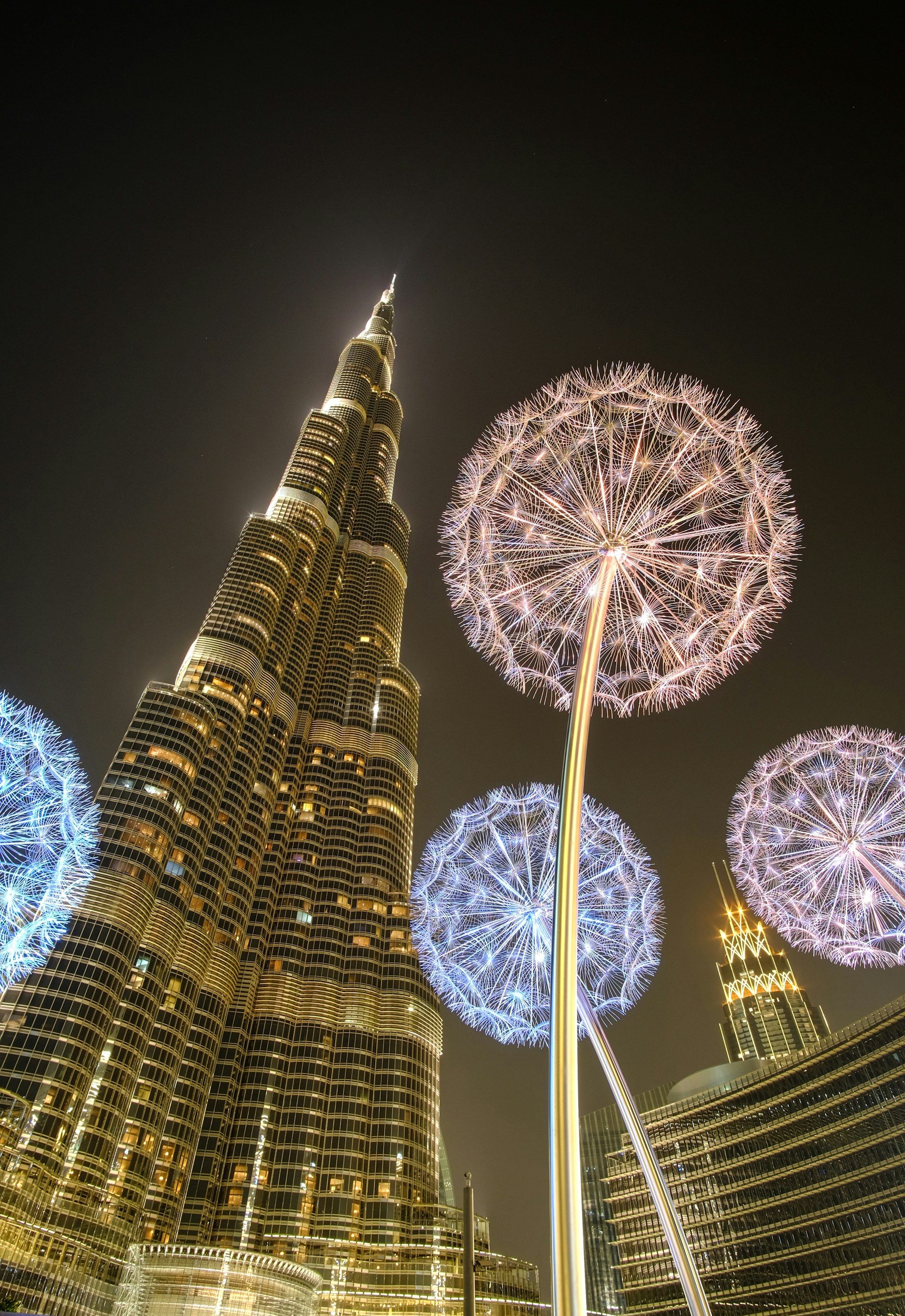 low angle photography of fireworks at night time