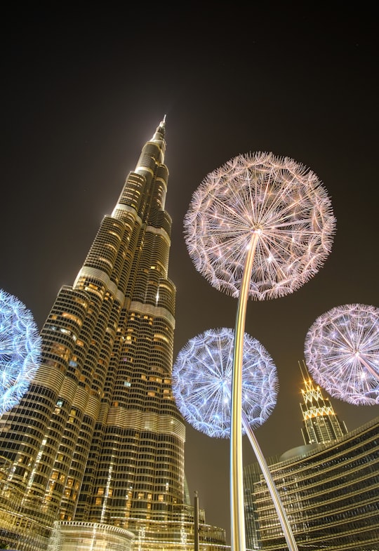 low angle photography of fireworks at night time in Burj Park United Arab Emirates