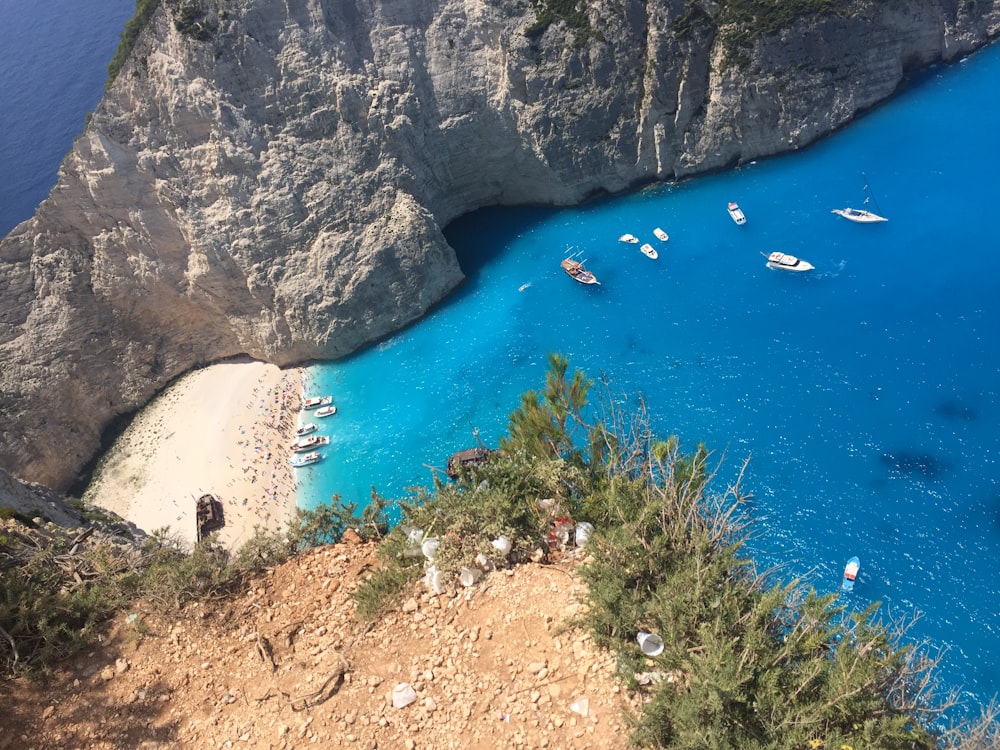 boats on body of water