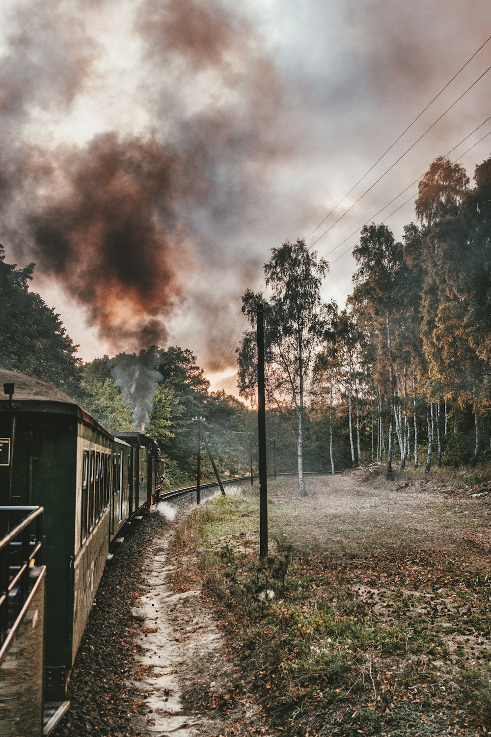 train surrounded by trees