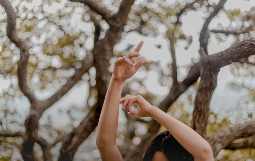 A close-up of a dancer's hands weaving through branches, symbolizing connection with nature.