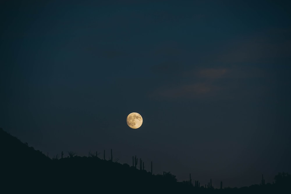 mountain under full moon