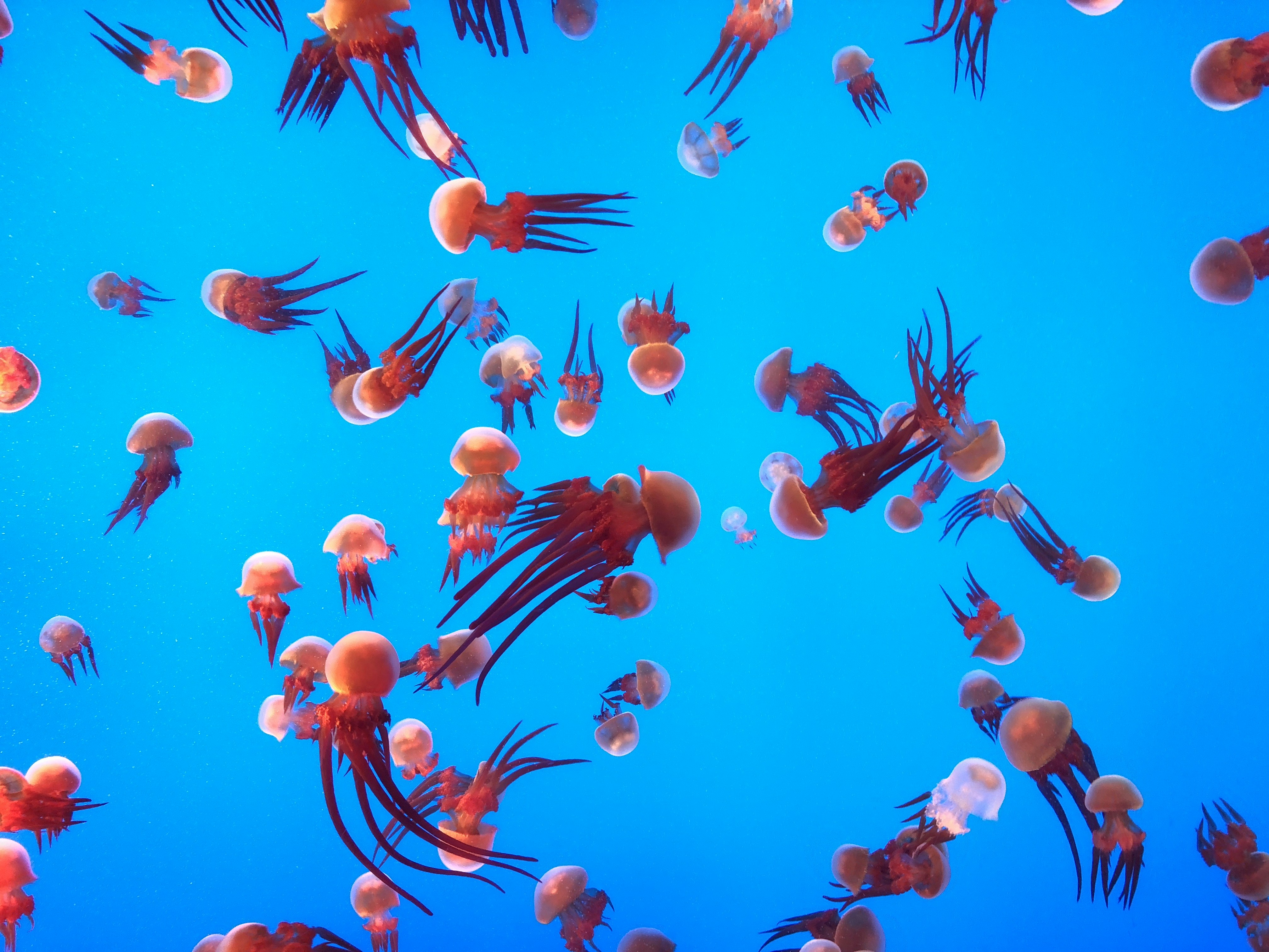 Regulatory Impact Assessment: Making Rules That Work