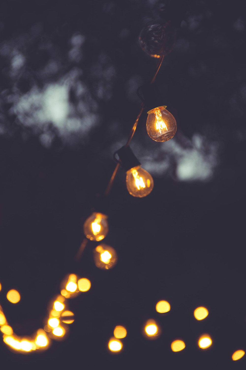 selective focus photo of yellow string lights