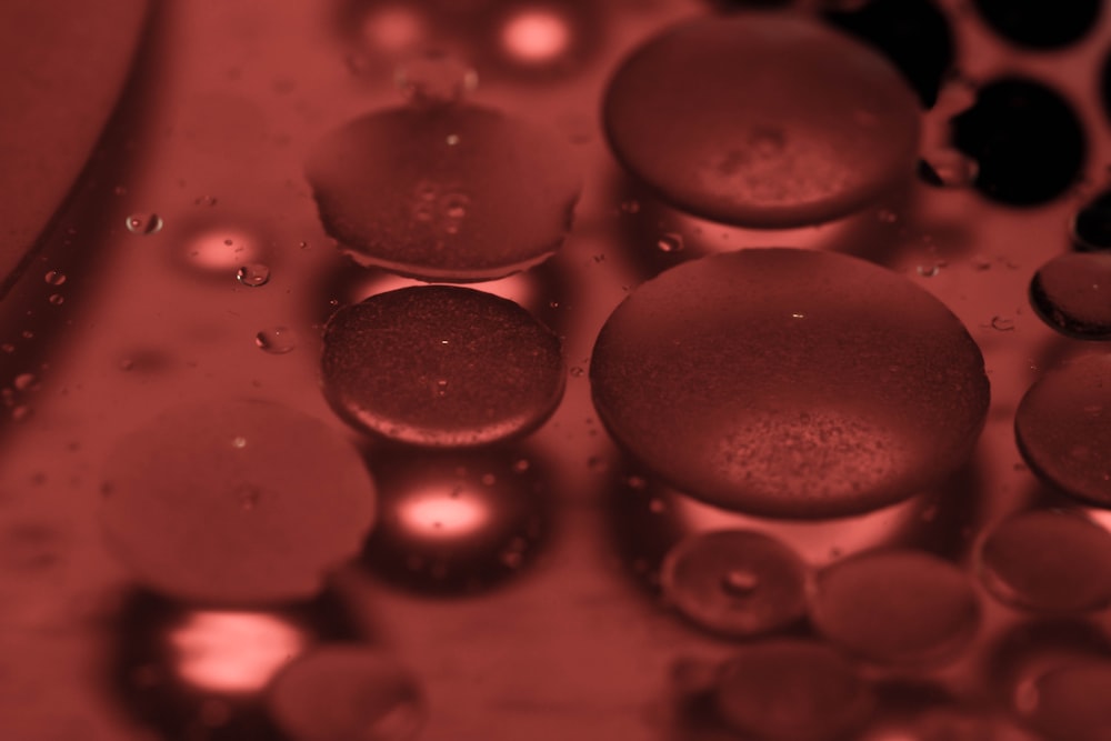 a close up of water droplets on a surface