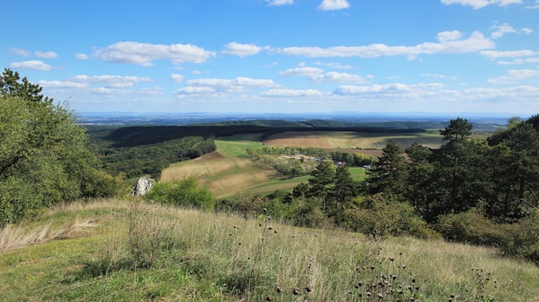 A scenic view of open farmland with rolling hills and a bright horizon.