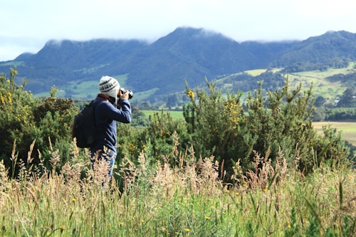 A person wearing a knitted beanie, scarf, and backpack is taking photographs amidst lush greenery. The scene is set against a backdrop of rolling hills and distant mountains, partially covered by low clouds. The foreground is filled with tall grasses and dense shrubs dotted with small yellow flowers.