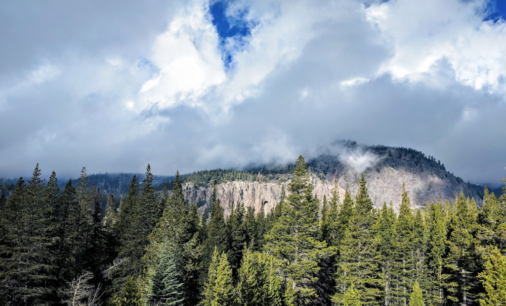 mountain near trees