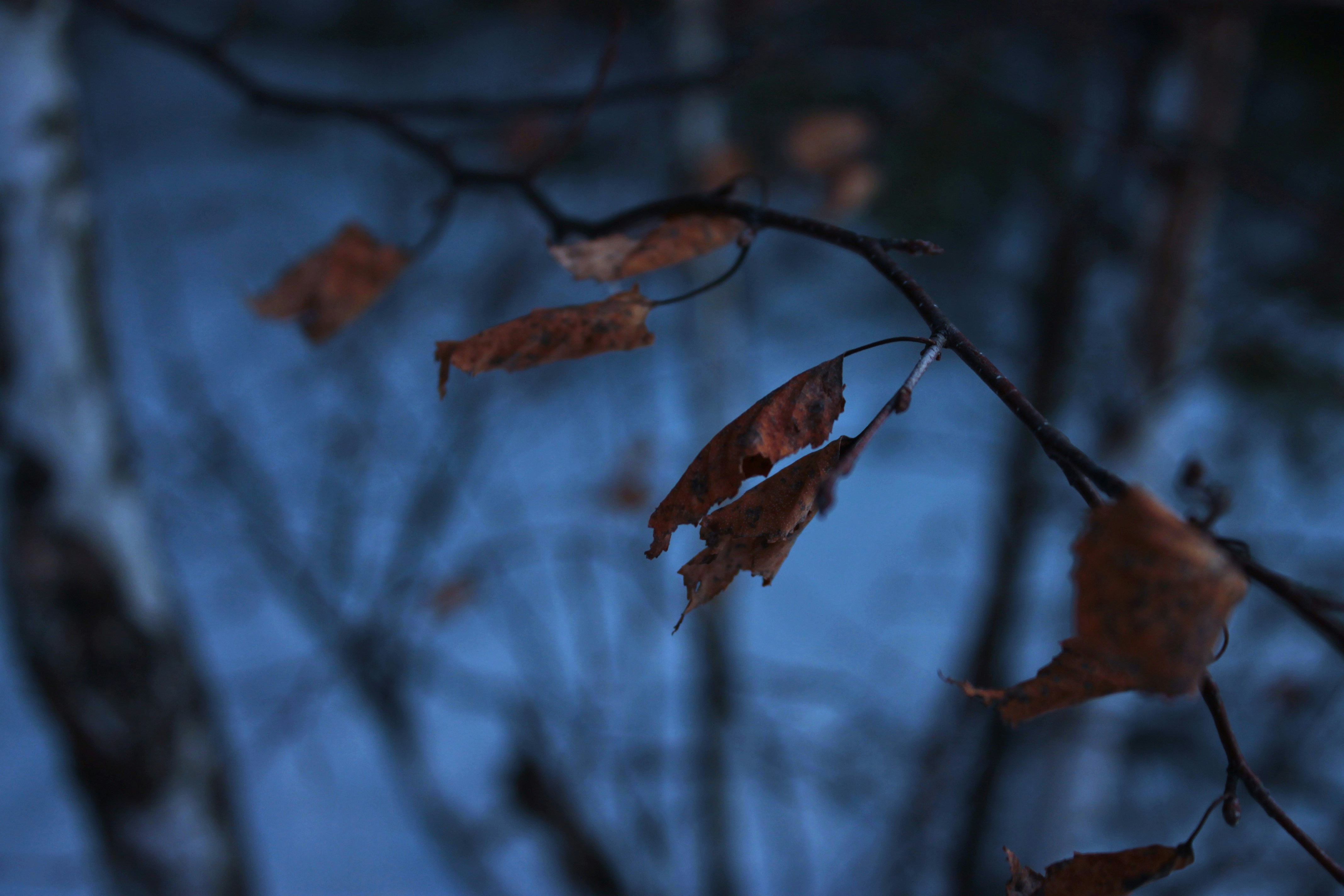 Photo by student_rebel