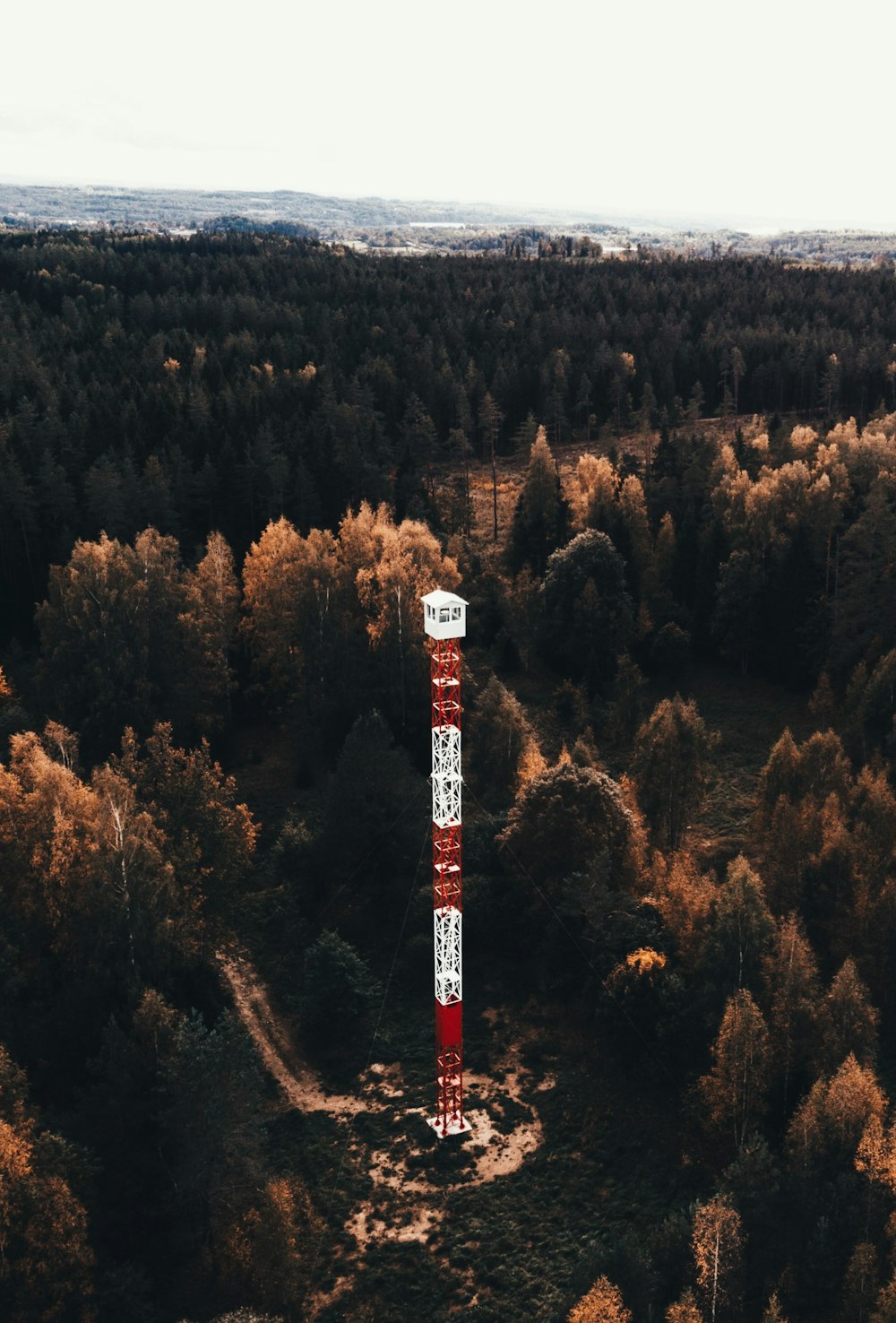 white and red tower surrounded by trees