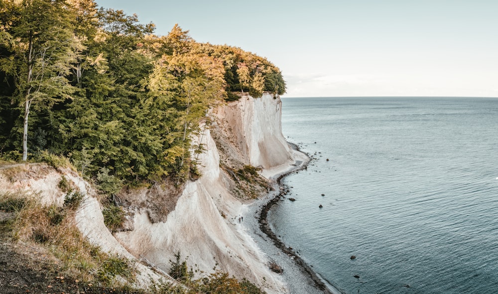 cliff near calm sea at daytime