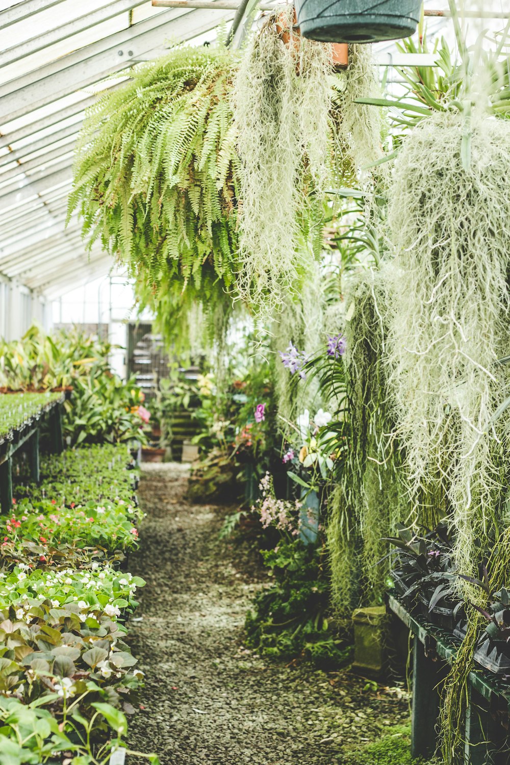 abri de jardin pendant la journée