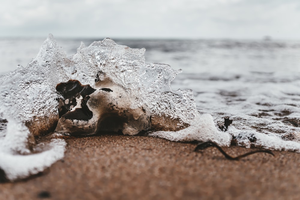 sea waves crashing on seashore