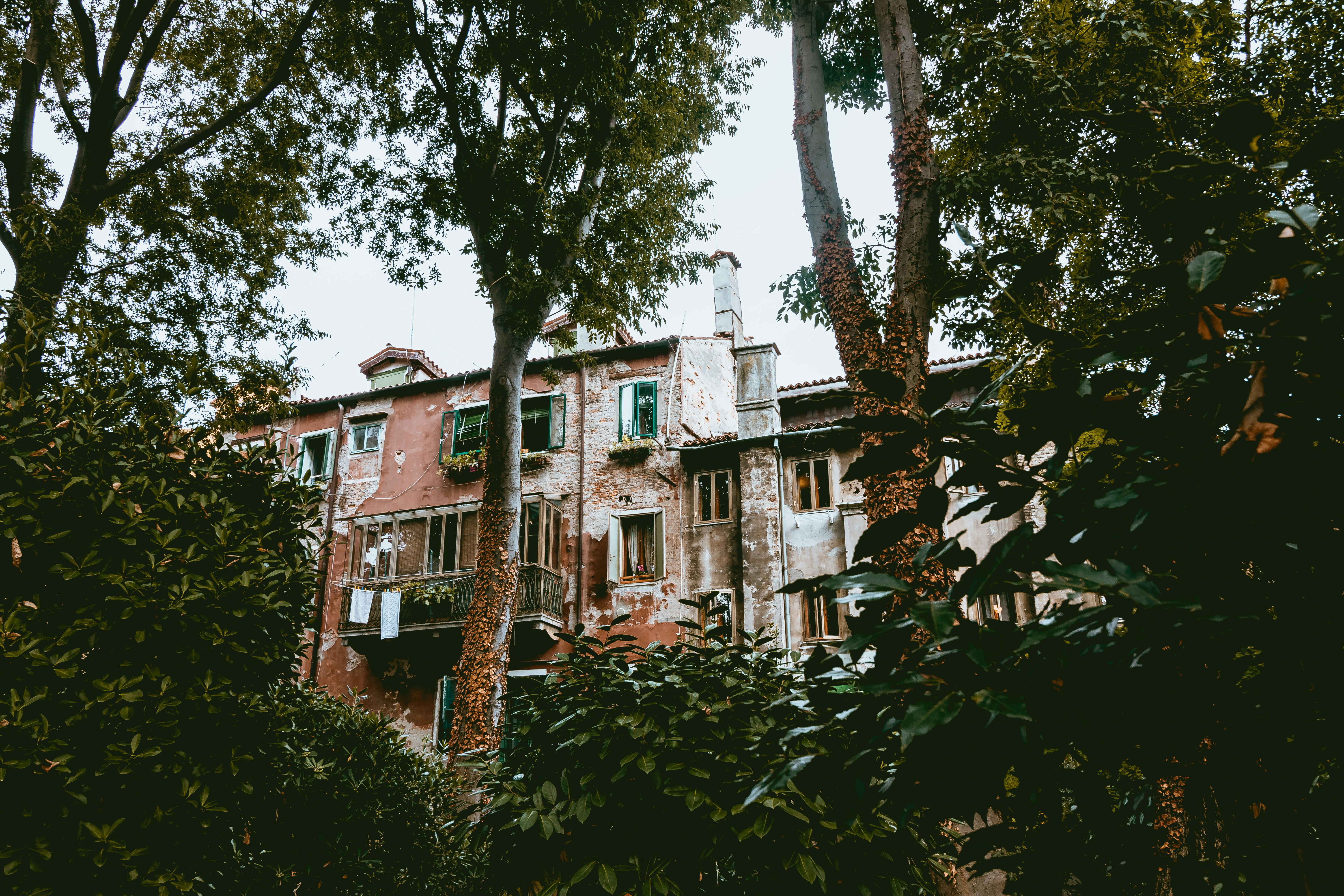 Photo by niklas_hamann