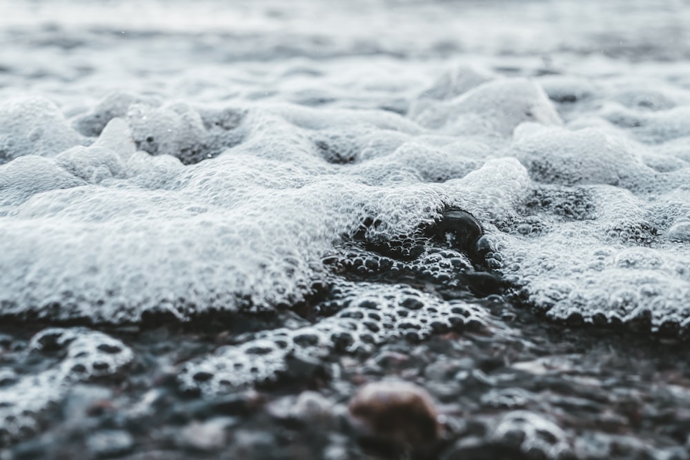 closeup photography of body of water