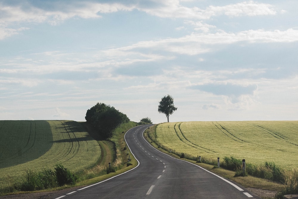 empty road surrounded by green field during daytime