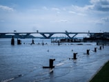 A large, modern bridge spans over a wide body of water with a clear, mostly blue sky above. The foreground features a waterside area with various posts and bollards partially submerged in water. There are a few birds on the water surface, and distant landmasses are visible.