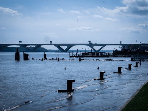 A large, modern bridge spans over a wide body of water with a clear, mostly blue sky above. The foreground features a waterside area with various posts and bollards partially submerged in water. There are a few birds on the water surface, and distant landmasses are visible.