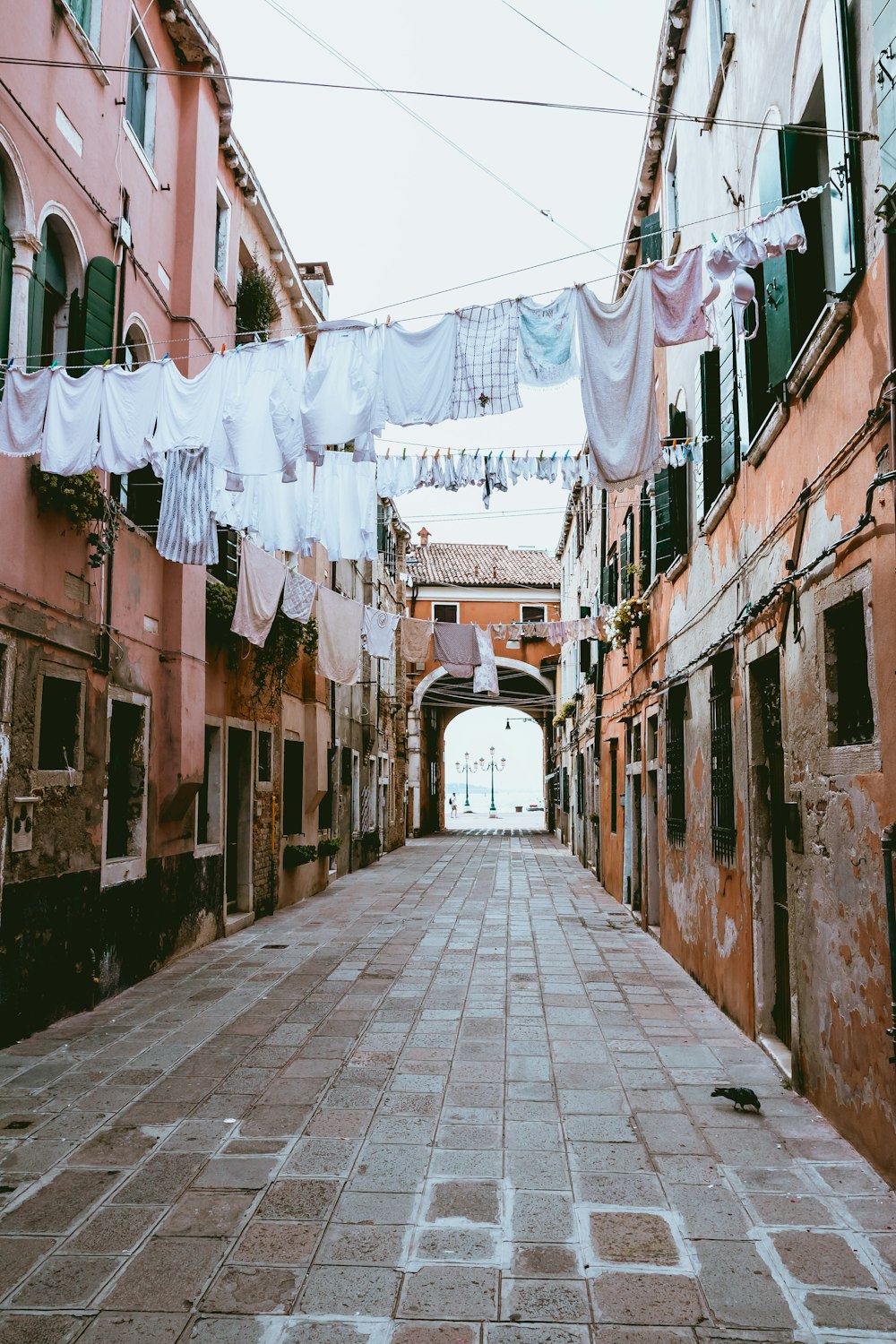 multicolored hanged clothes