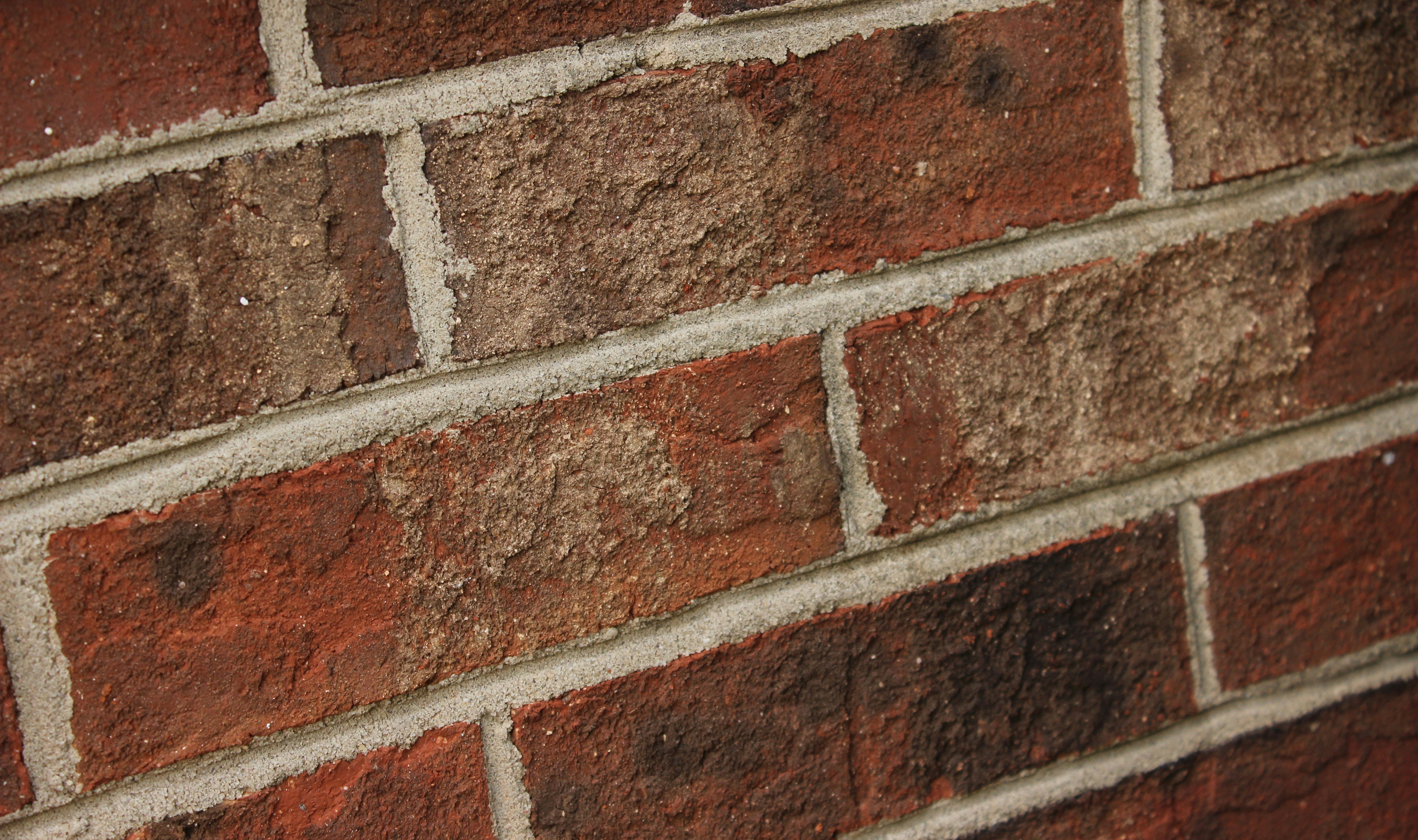 Photo by chipthrasher