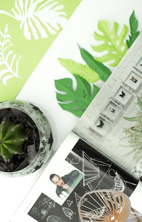 A photo featuring green paper cutouts shaped like leaves, a plant in a pot, and a black-and-white magazine open to pages with architectural sketches and a photo of an individual. There is also a display of framed insects mounted on a white brick background, and some small potted plants are visible.