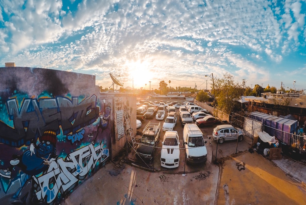 cars on park under blue and white sky