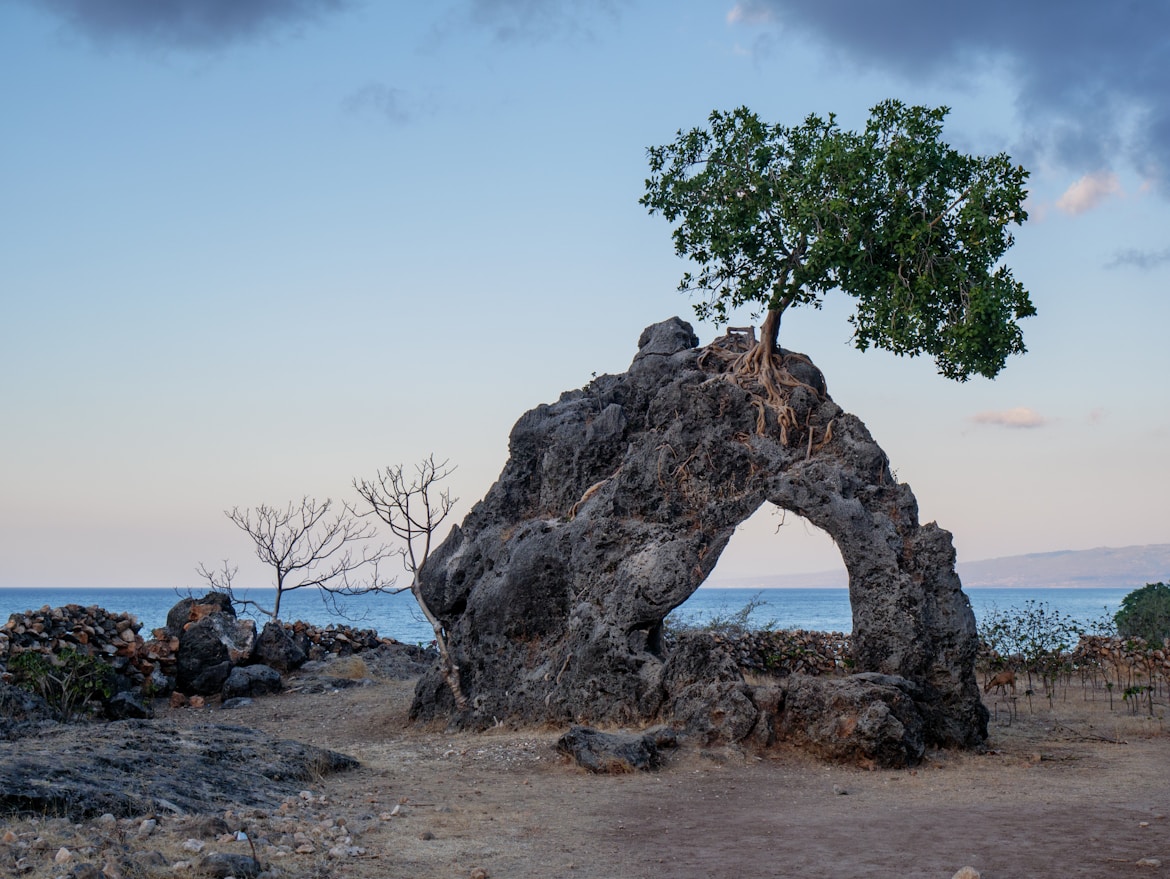 Timor-Leste