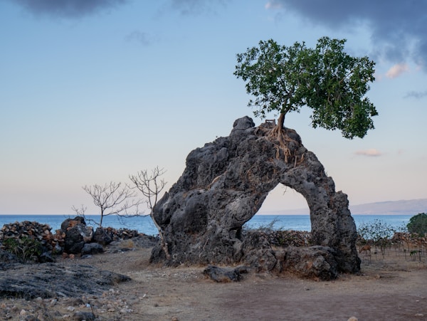 Exploring Timor-Leste: Culture, Traditions, Festivals