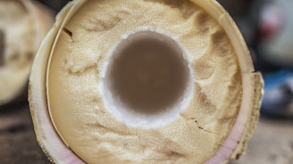 Scientists examining bamboo fibers under a microscope in a modern lab.