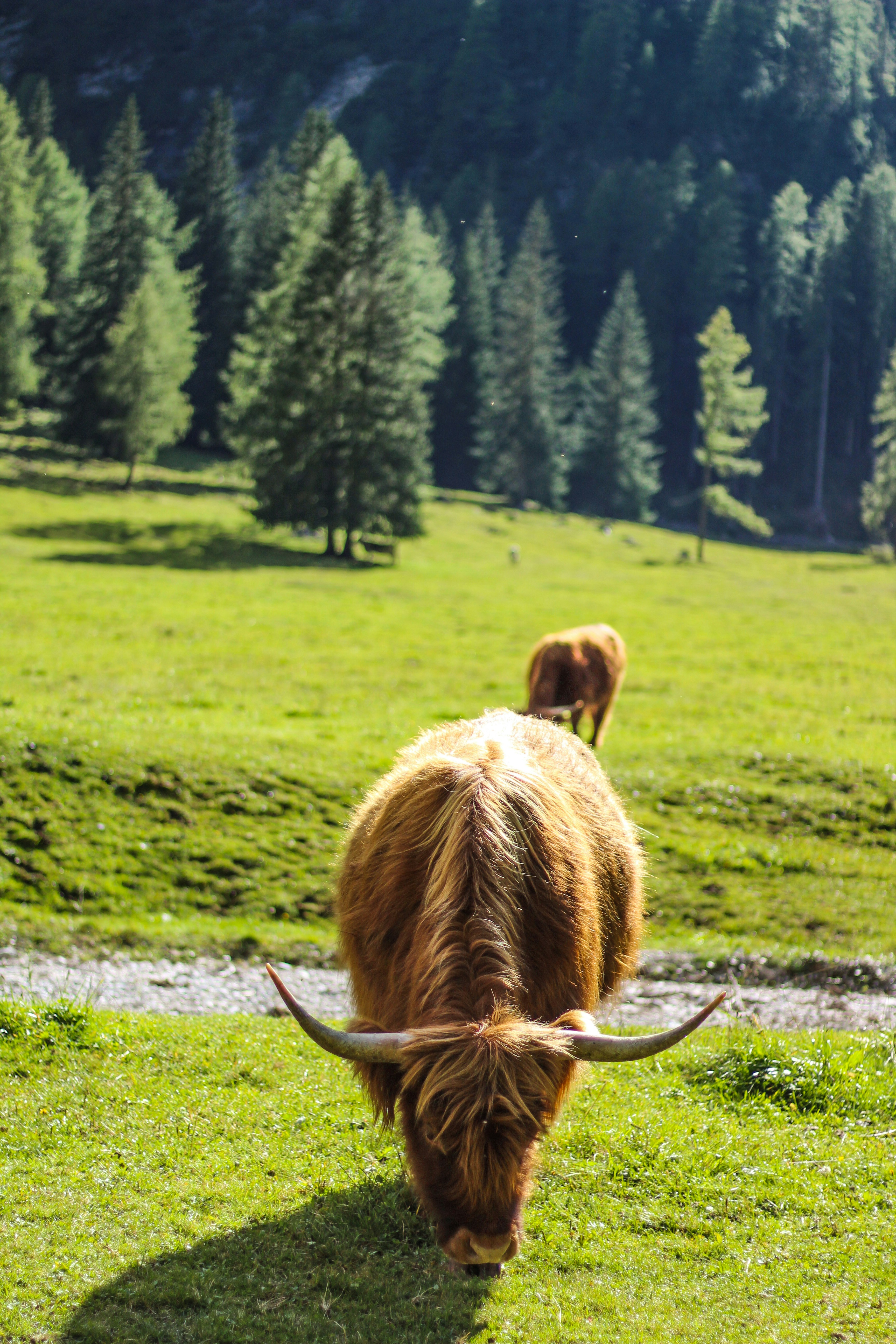 Photo by kamilslusarczyk