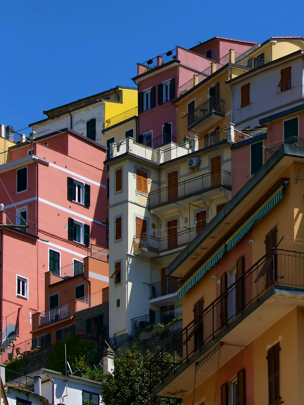 orange and pink painted houses