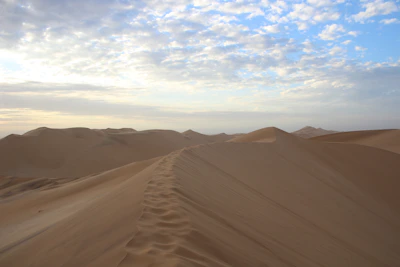 A sunrise view over the vast desert dunes with soft morning light.