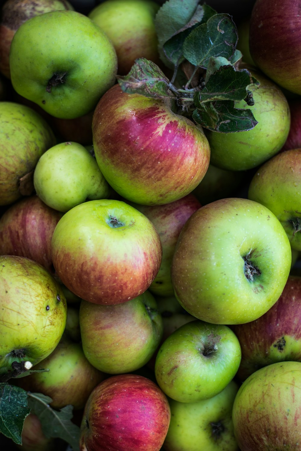 closeup photo of green-and-red apple fruits