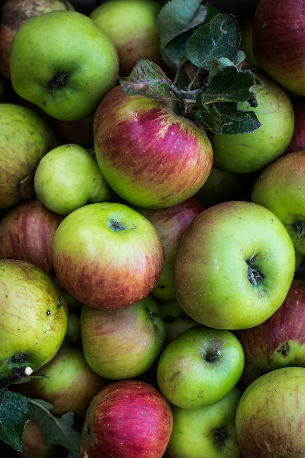 Foto de primer plano de frutas de manzana verdes y rojas