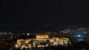A panoramic view of a sprawling ancient city with dark stone architecture under a star-studded night.