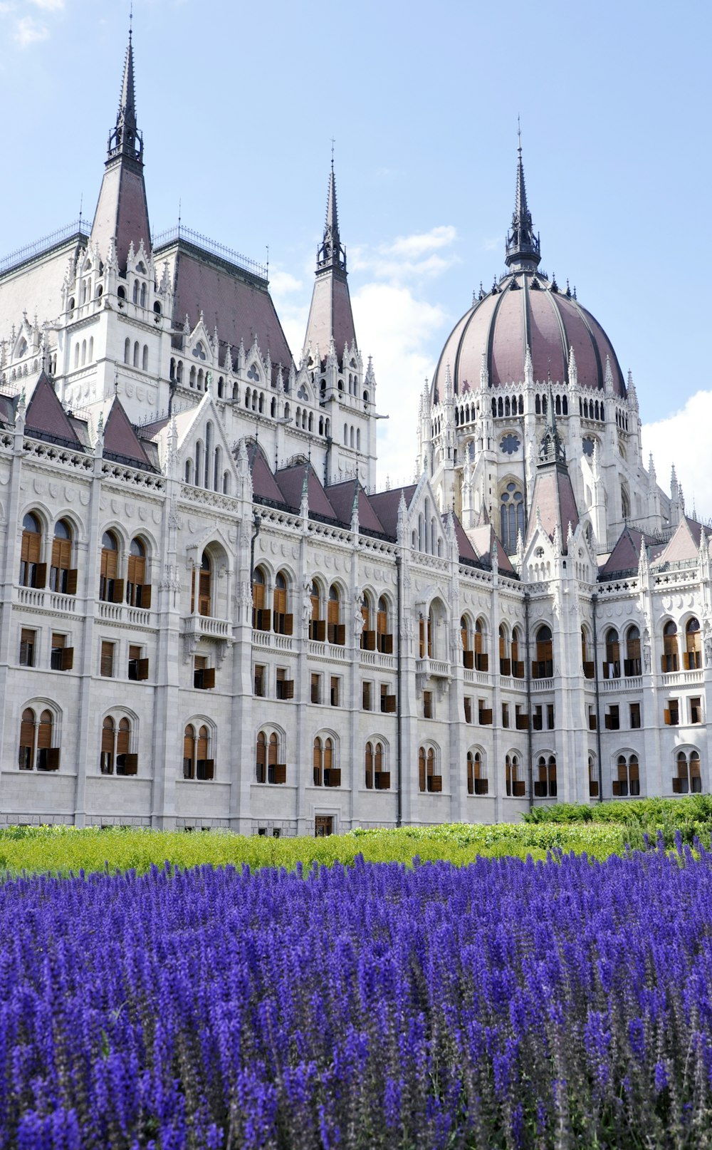 Construir cerca de plantas con flores durante el día