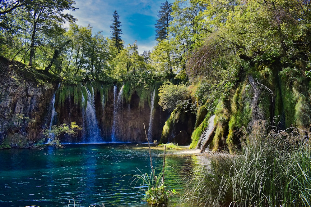 waterfall near trees