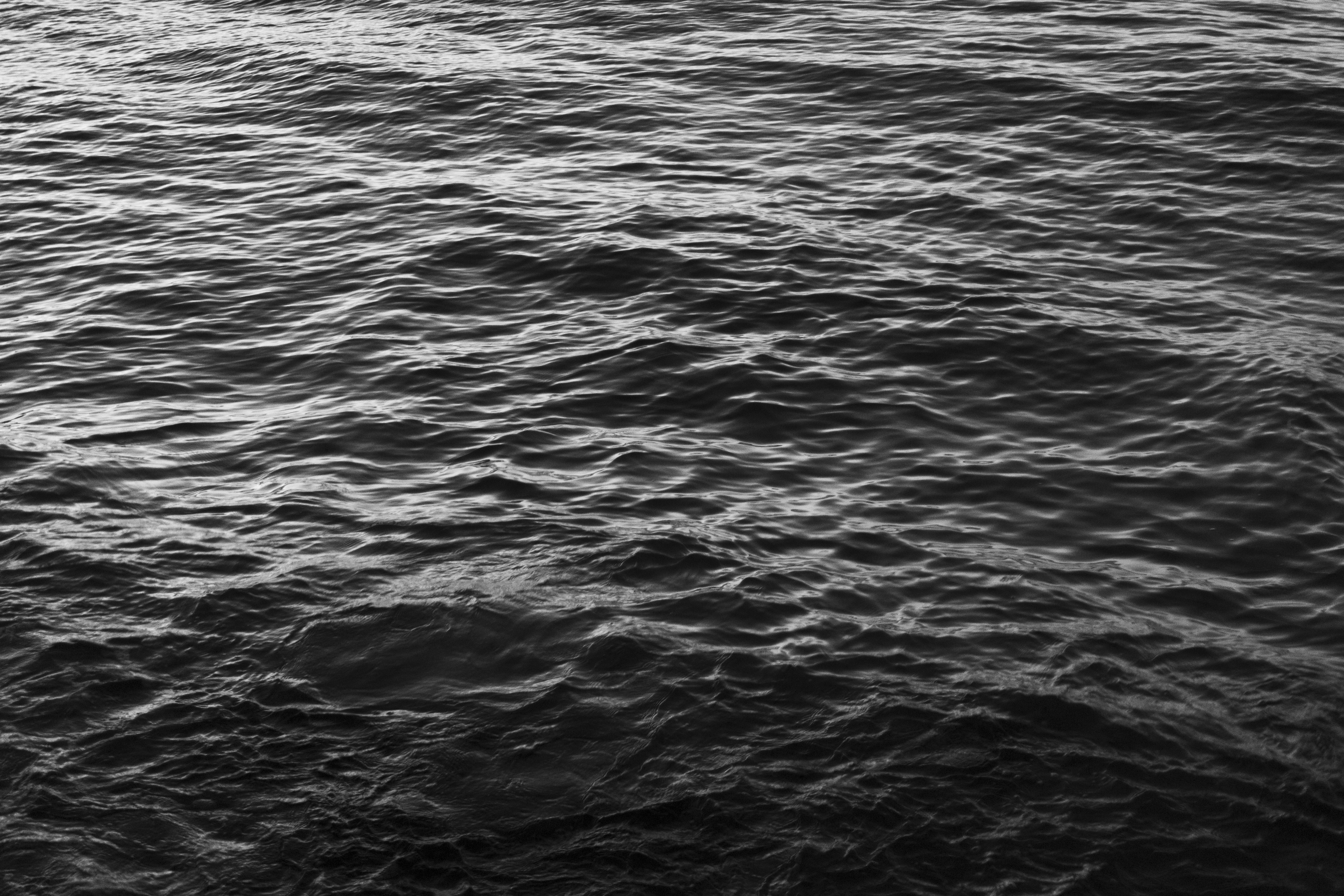 Photo by nsantoianni