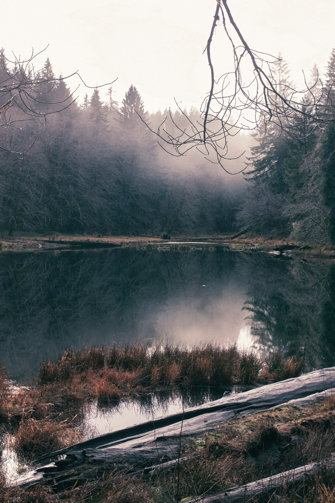 Lake photo spot Soapstone Lake United States