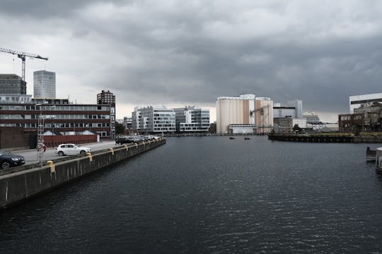 calm water at daytime in Malmö Sweden