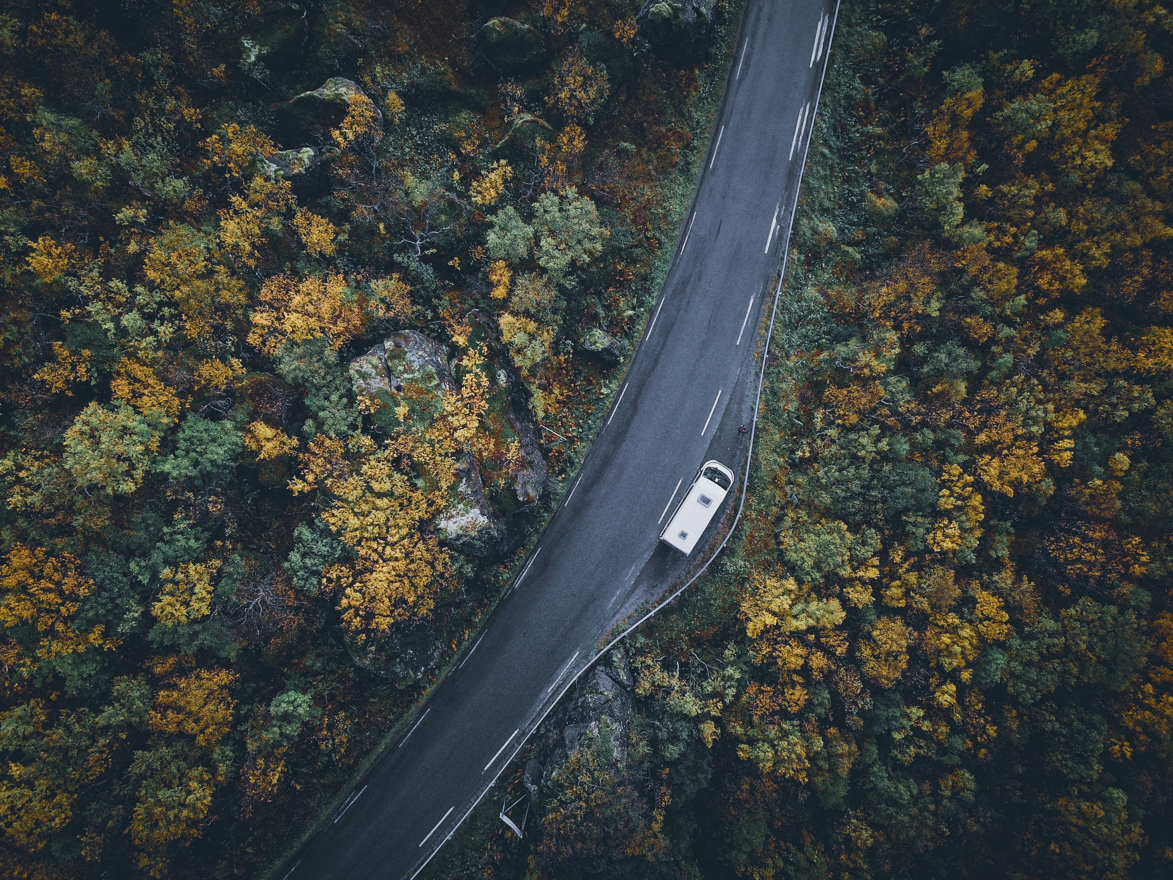 aerial photography of road during daytime
