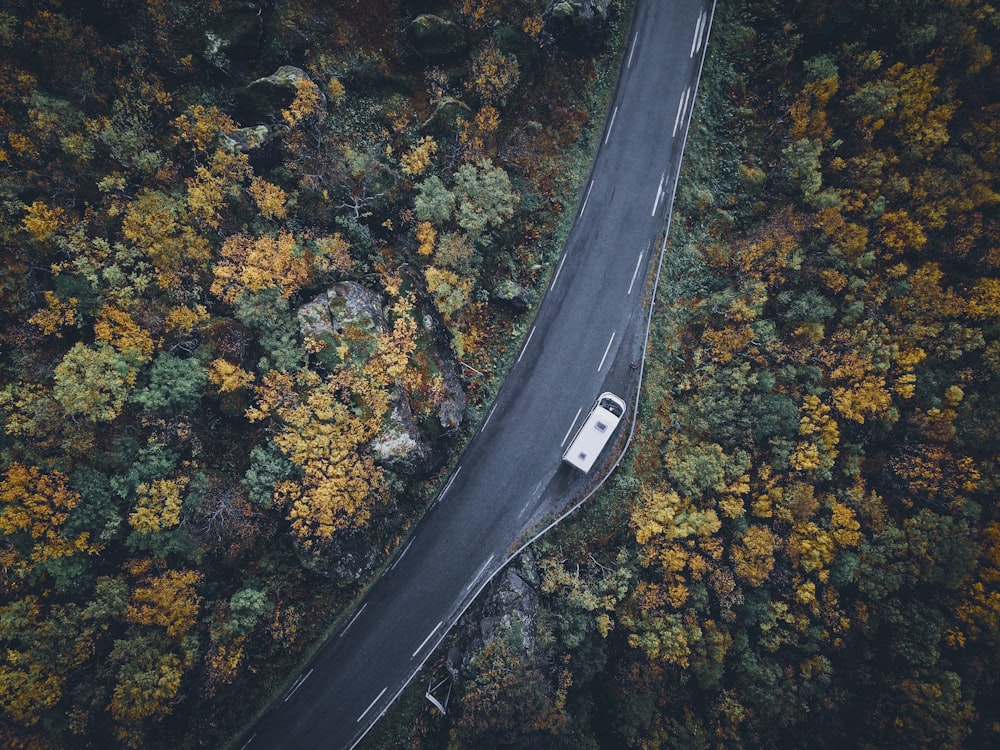 Fotografía aérea de la carretera durante el día