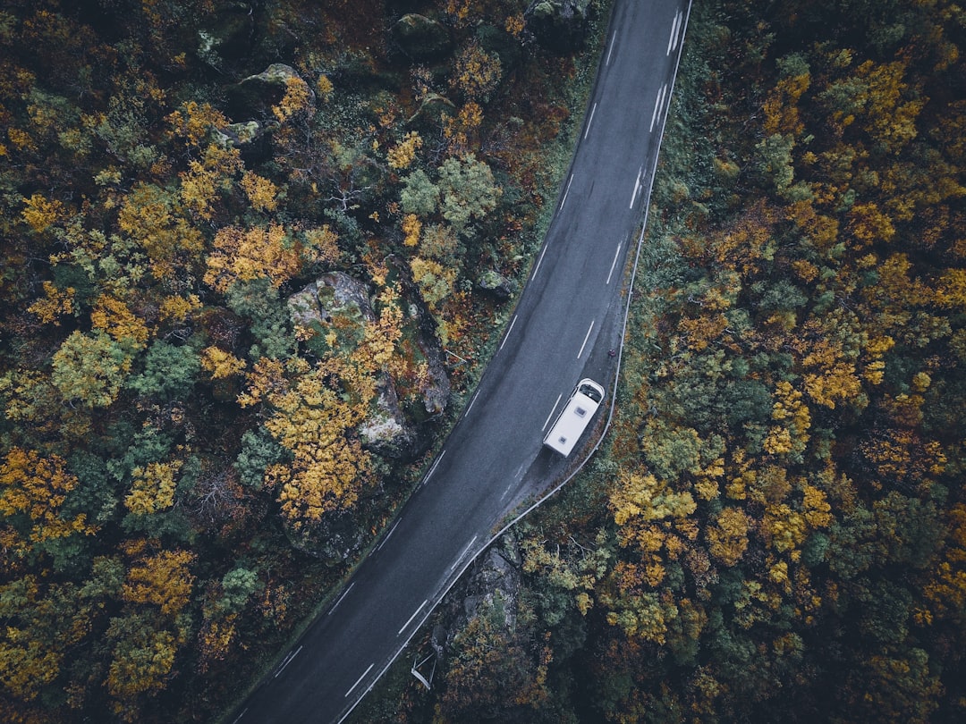Life in the Fast Lane: Vanlifers Share Their Road Trip Must-Haves… — Life in the Fast Lane