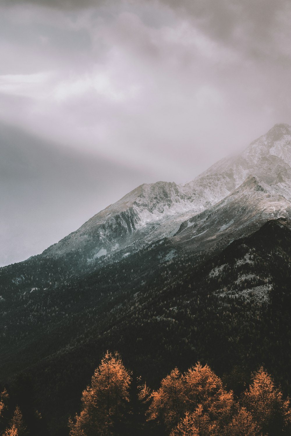 mountain covered by snow during daytime