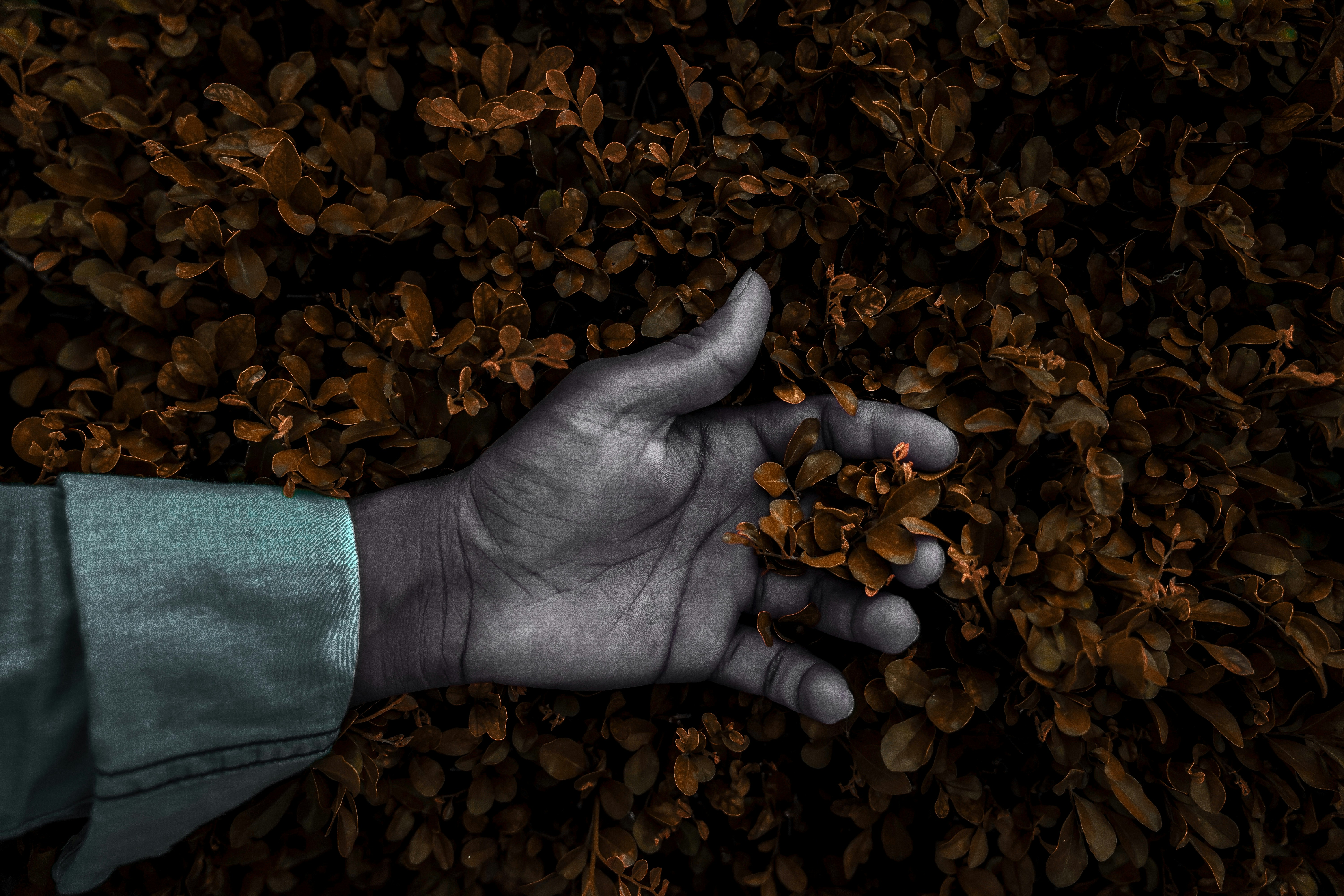 Altria forecasts tepid annual profit on sluggish tobacco demand