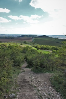 A dirt path leads through lush greenery and bushes, descending into a vast landscape of rolling hills and open fields under a partly cloudy sky. The winding path suggests a sense of journey or exploration.