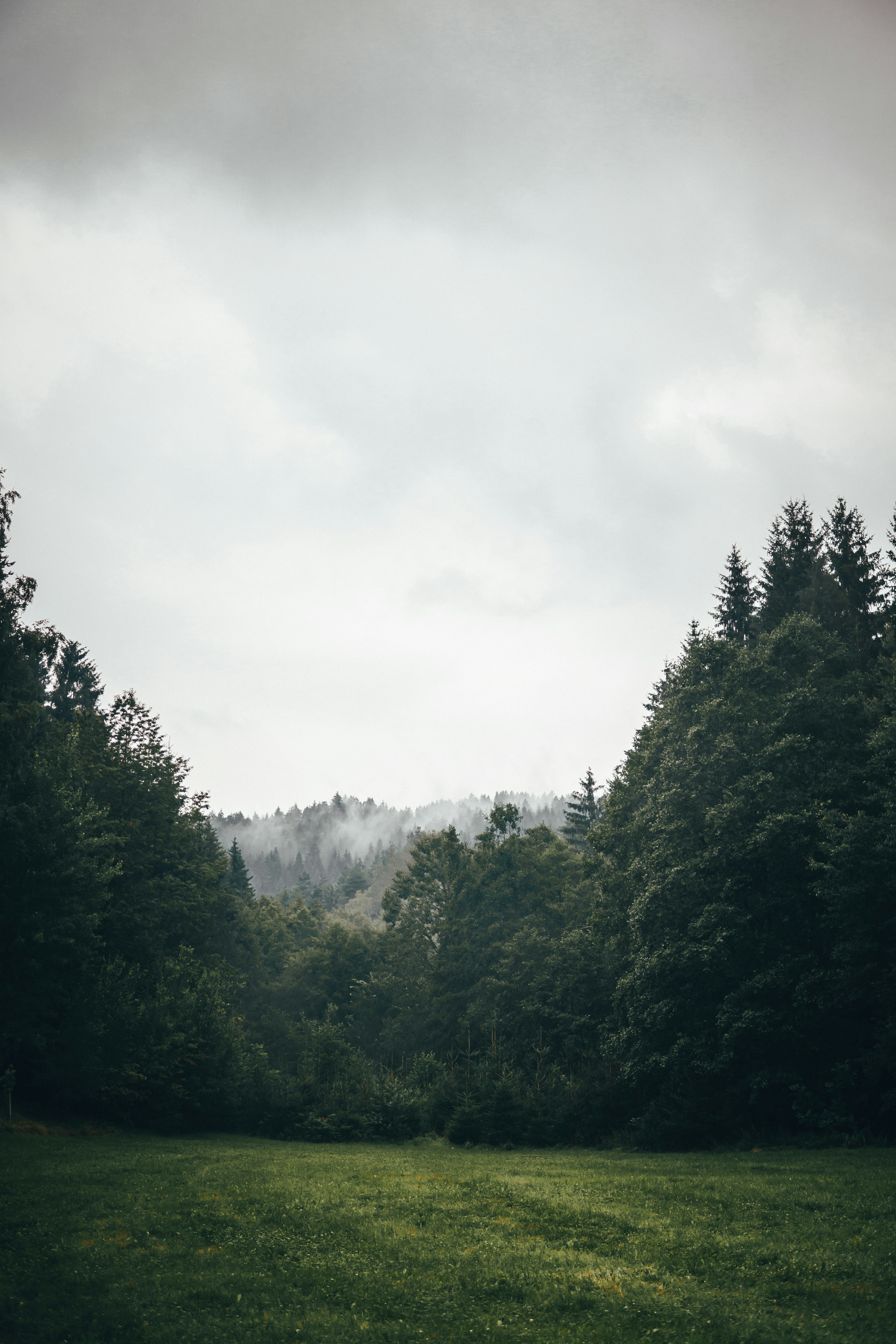 Photo by benjamin_raffetseder