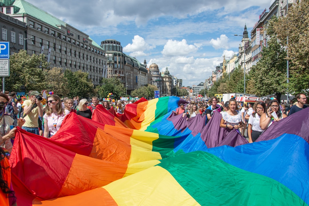 group of people holding Pride Flag during daytime