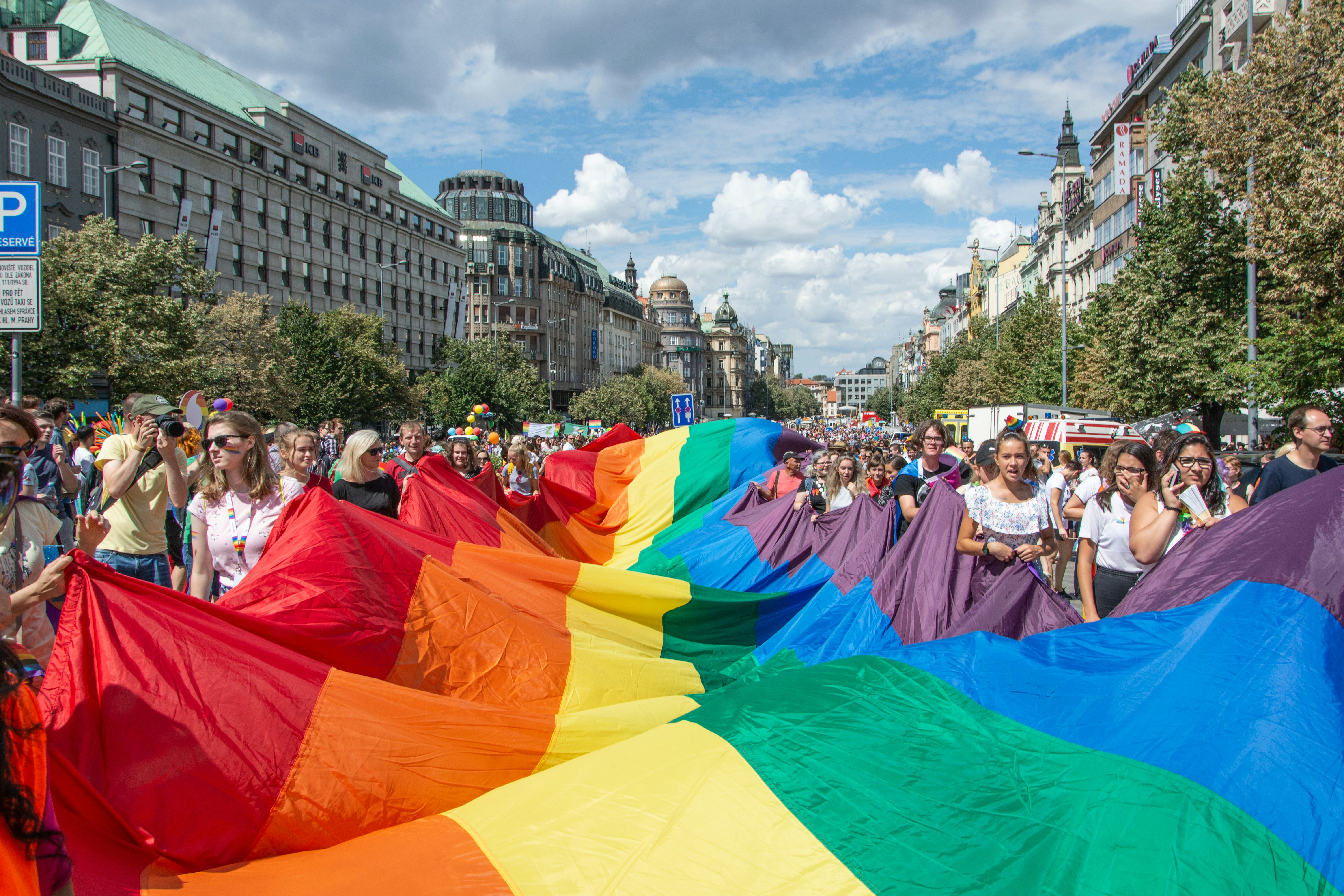 group of people holding Pride Flag during daytime