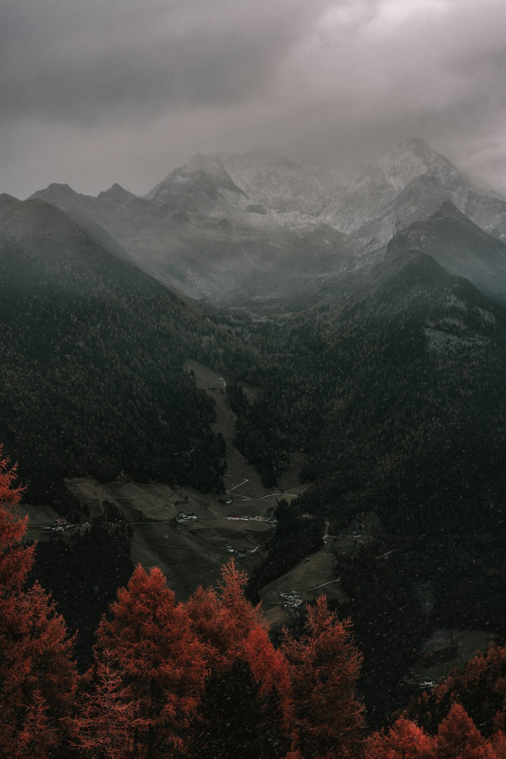 mountain covered with fog during daytime